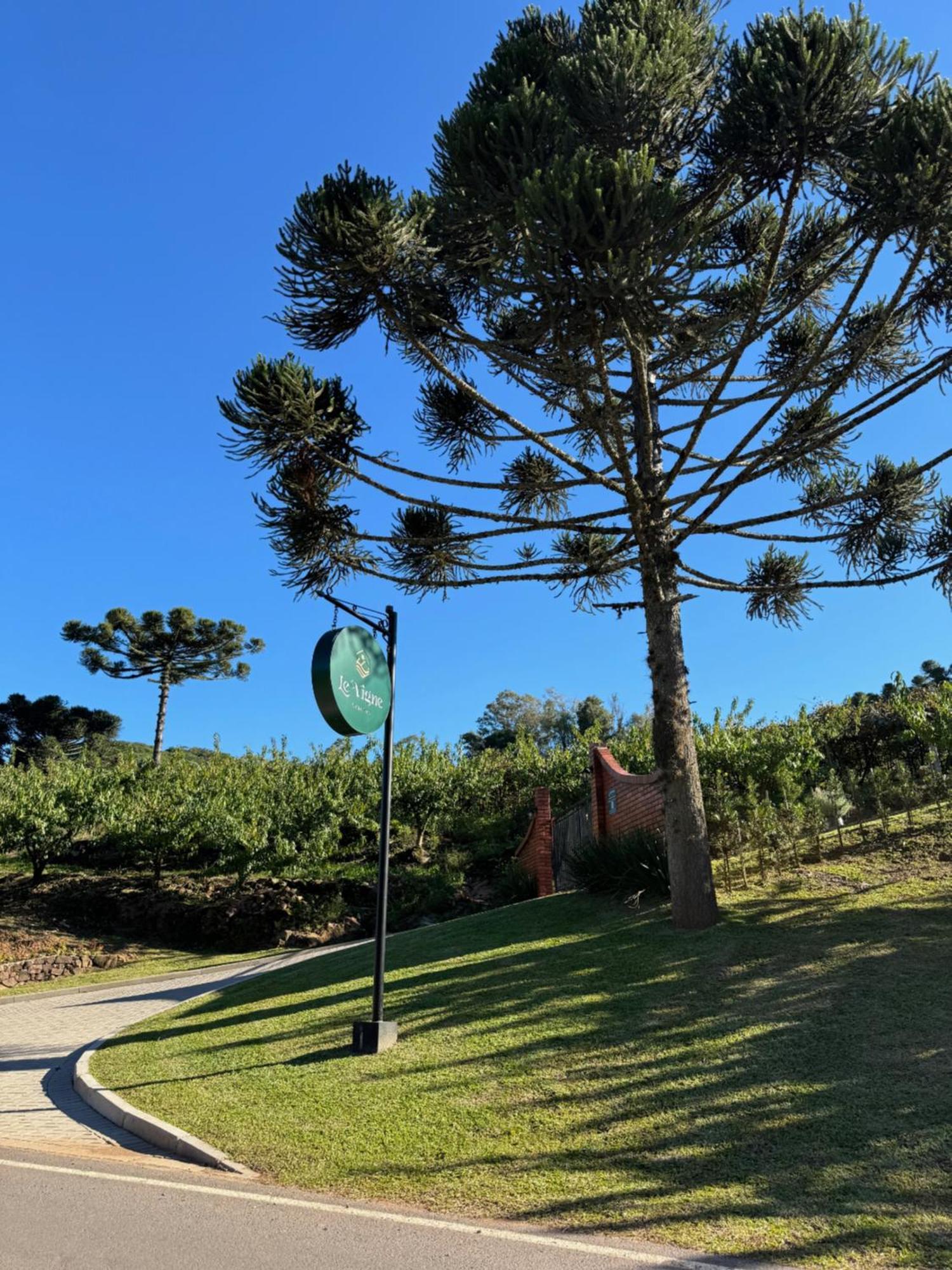 Cabanas Le Vigne Pinto Bandeira Eksteriør bilde