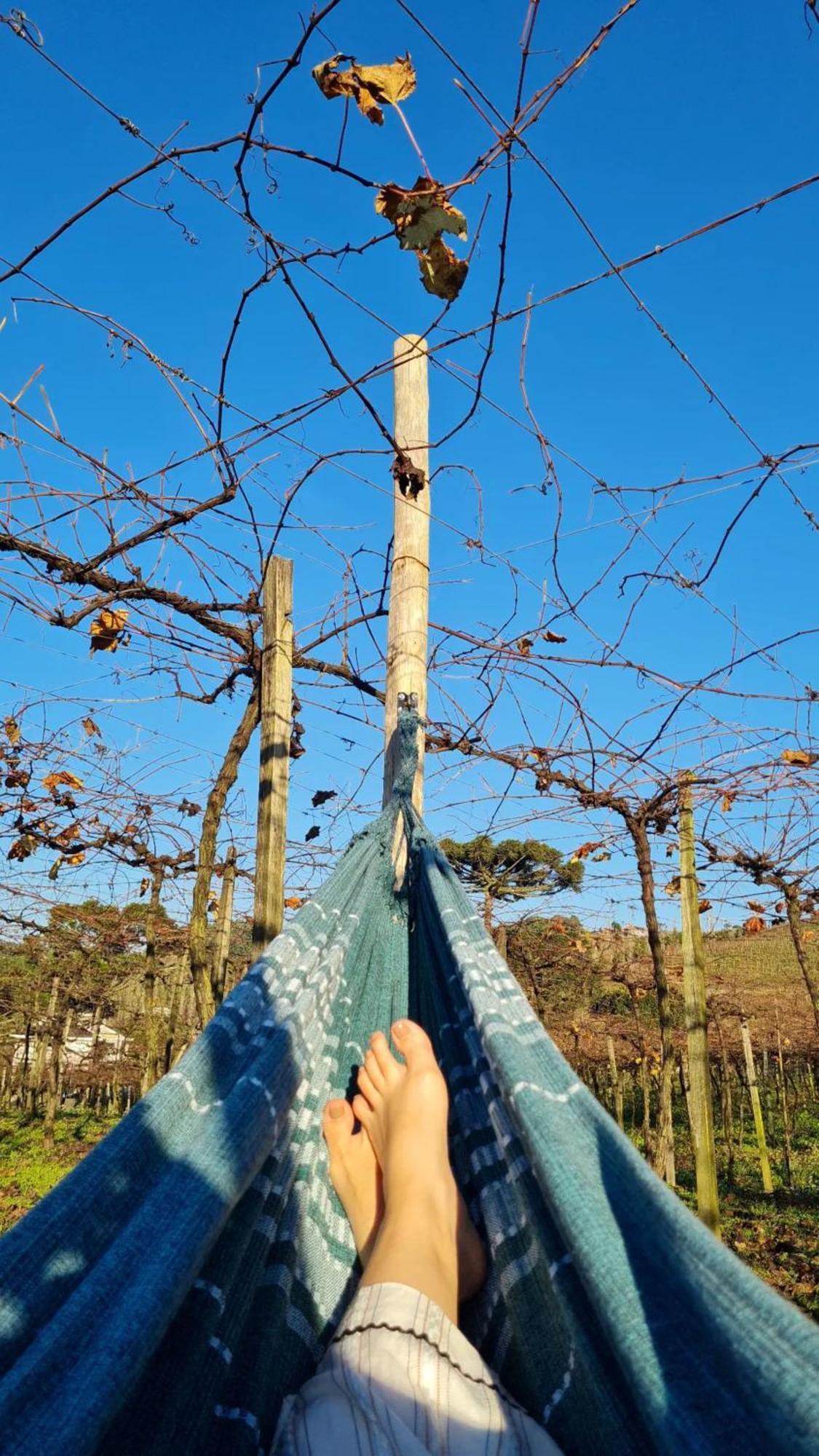 Cabanas Le Vigne Pinto Bandeira Eksteriør bilde