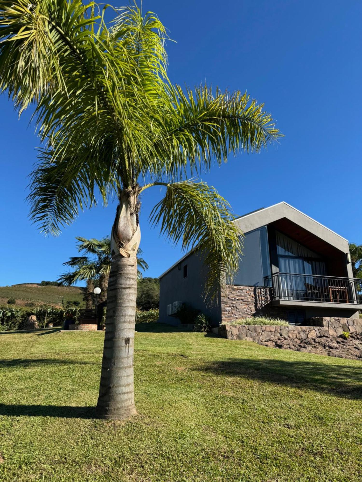 Cabanas Le Vigne Pinto Bandeira Eksteriør bilde