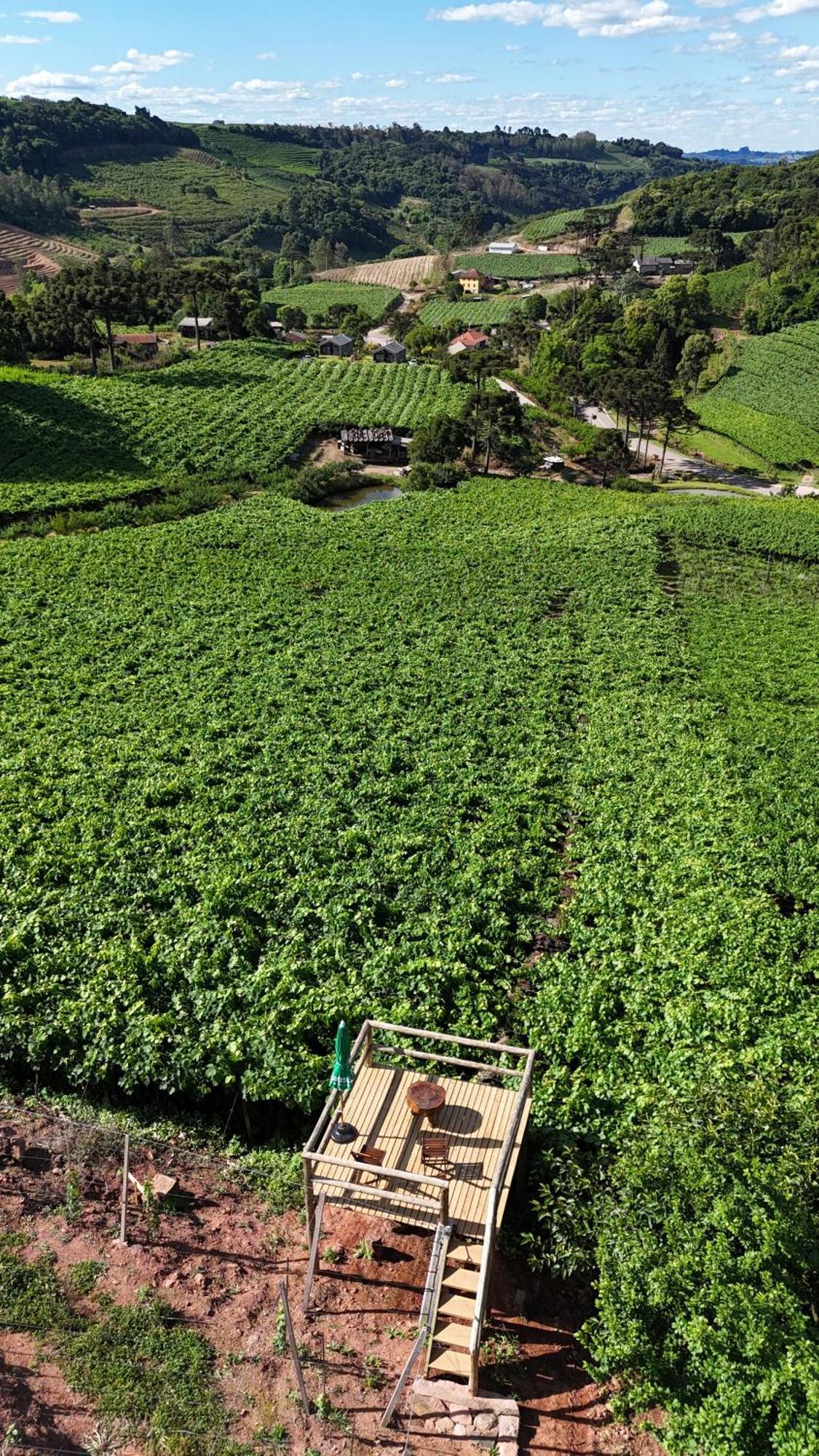Cabanas Le Vigne Pinto Bandeira Eksteriør bilde
