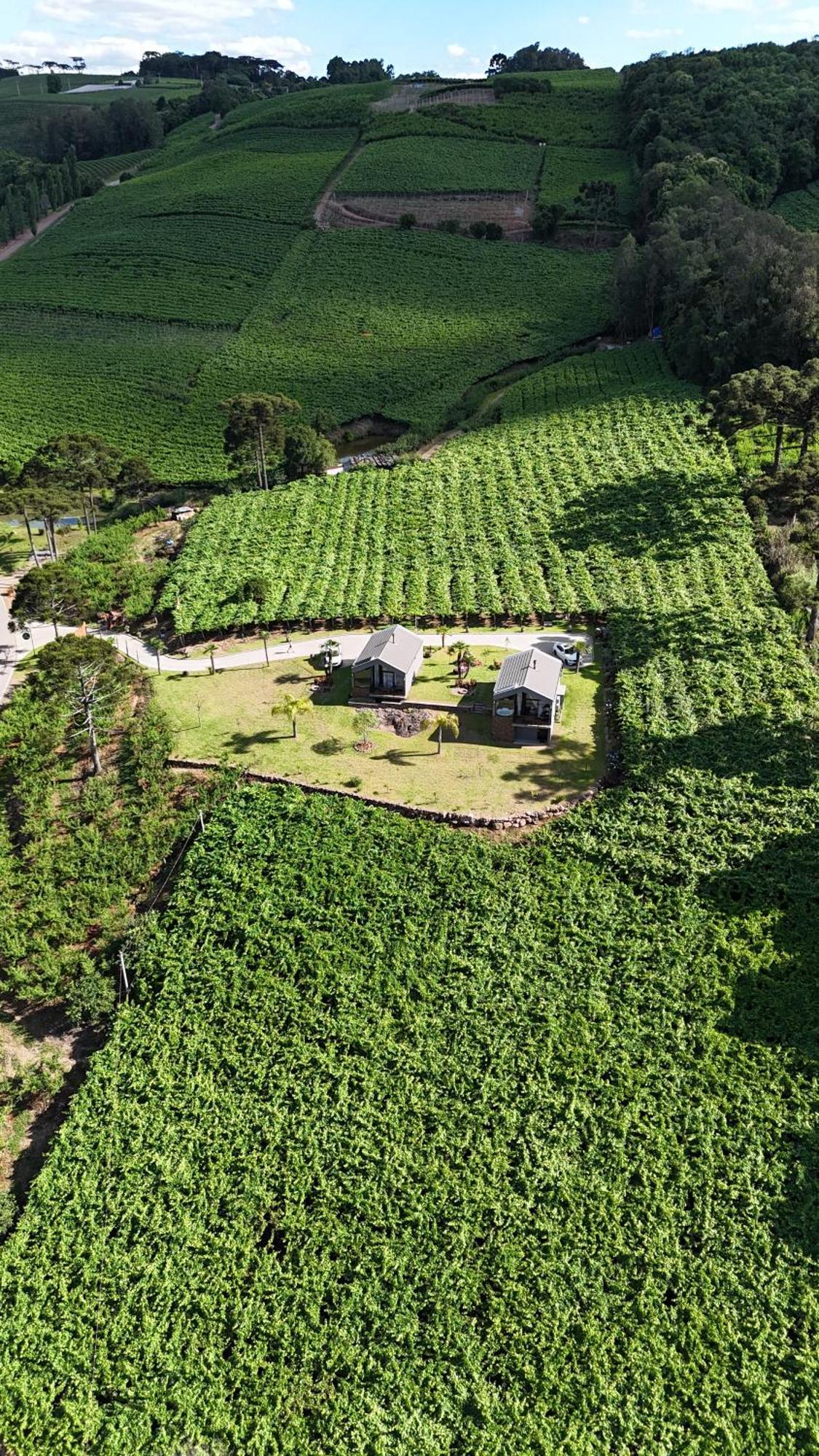 Cabanas Le Vigne Pinto Bandeira Eksteriør bilde