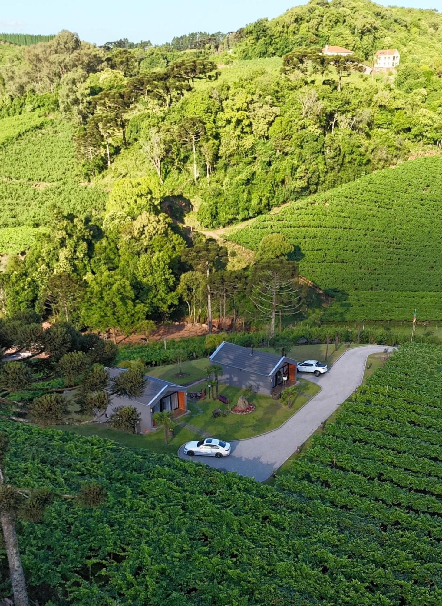 Cabanas Le Vigne Pinto Bandeira Eksteriør bilde